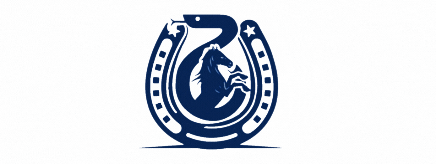 IVSA Kastamonu